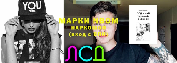 PSILOCYBIN Балахна