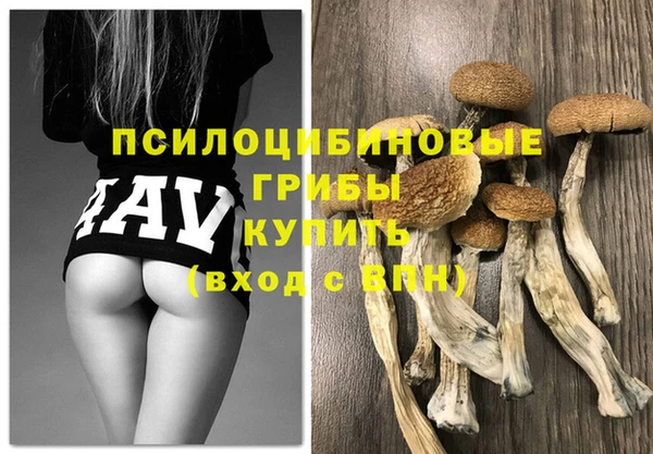 PSILOCYBIN Балахна